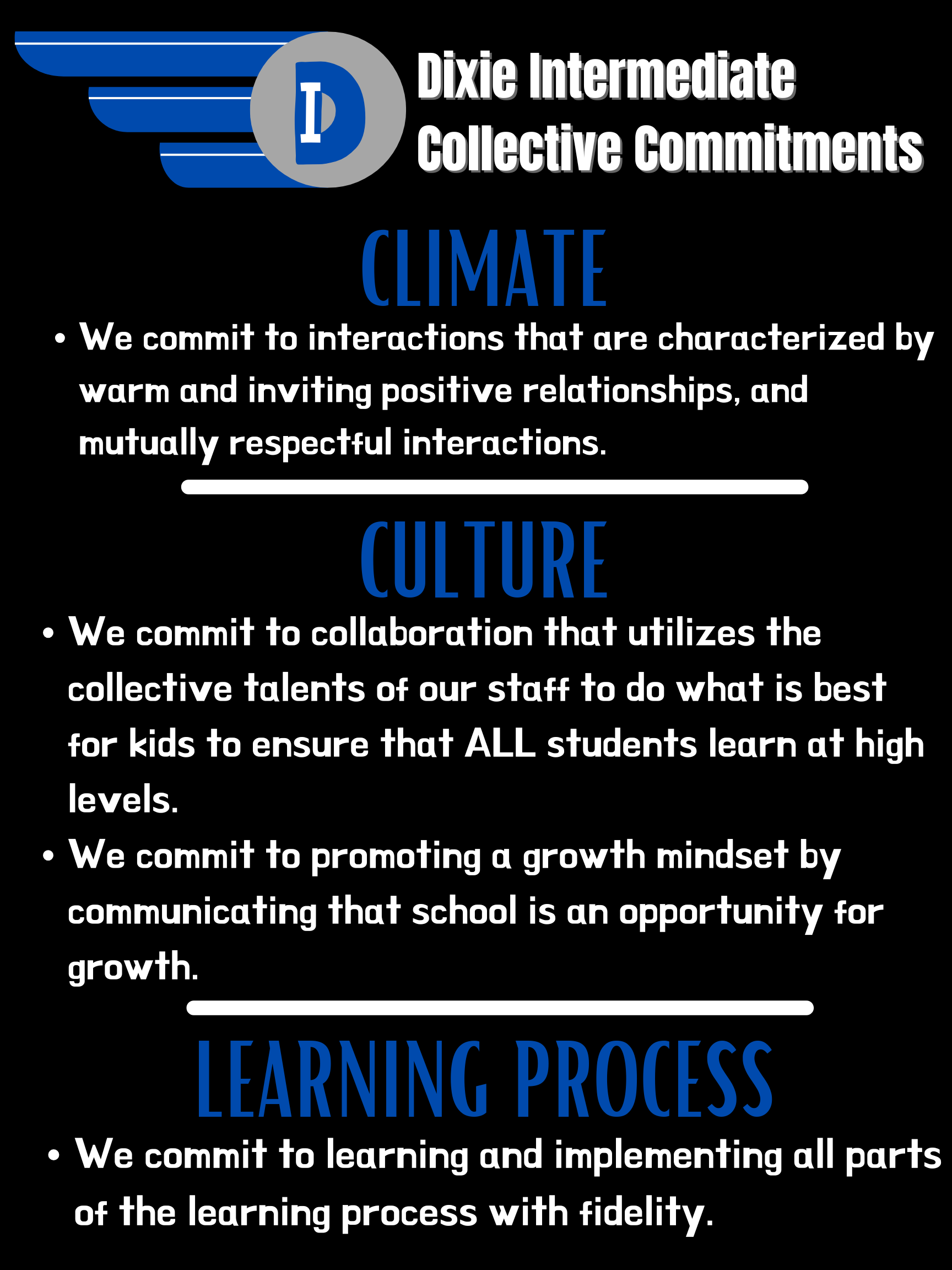 Image of the DIS Collective Commitments for 'Climate', 'Culture', and 'Learning Process'. You can read them on the linked pdf