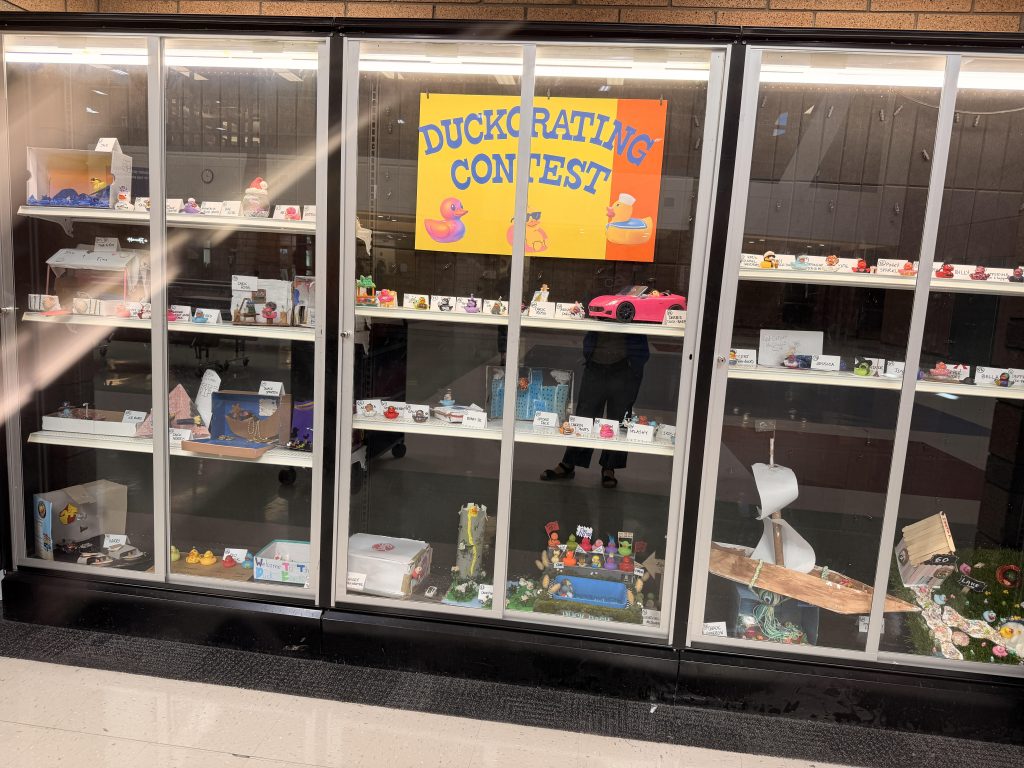 Picture of the trophy case filled with decorated ducks for the duck-orating contest.